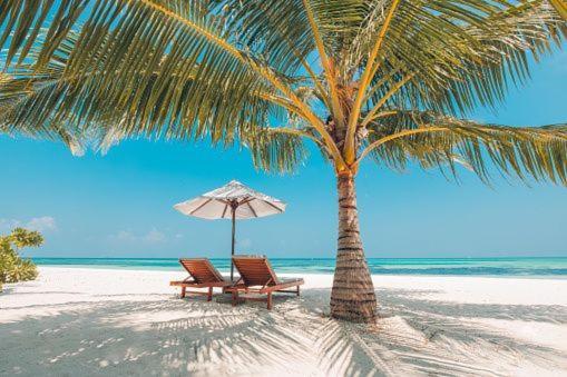 Gorgeous Beachy Chic Condo In Key Biscayne Маями Екстериор снимка
